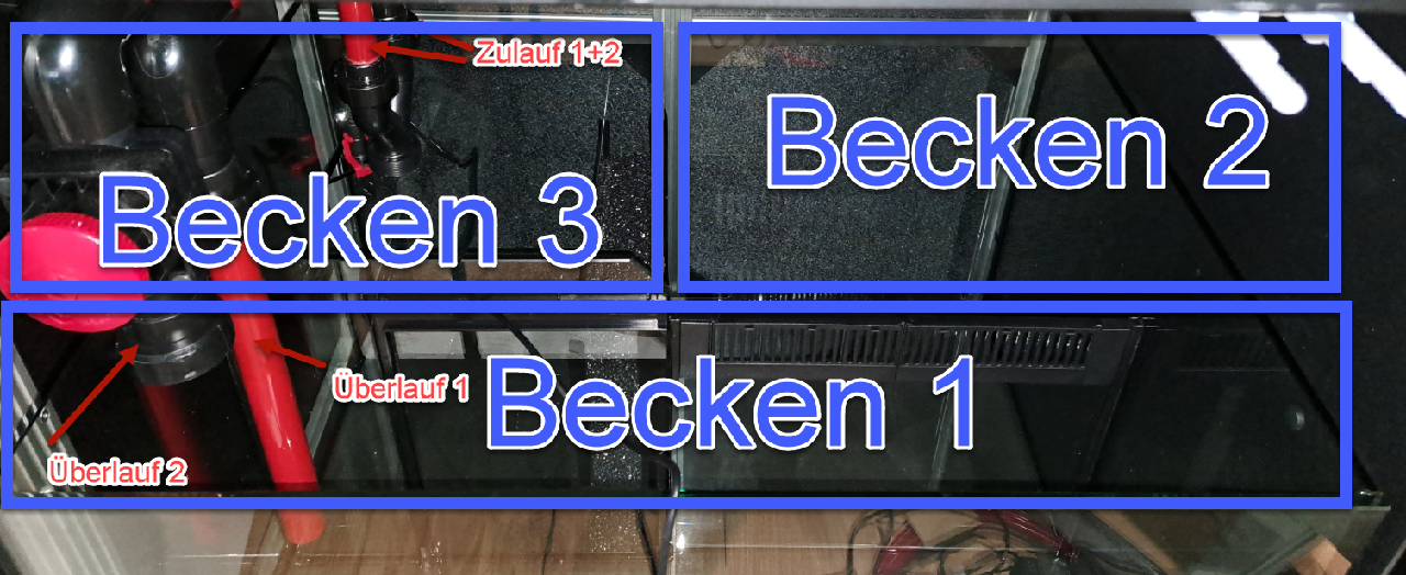 ?thumbnail=1