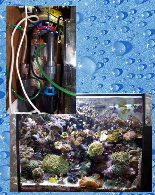 testbericht easy reef neu!!! - Archiv: Terra Nova Pro - Meerwasserforum