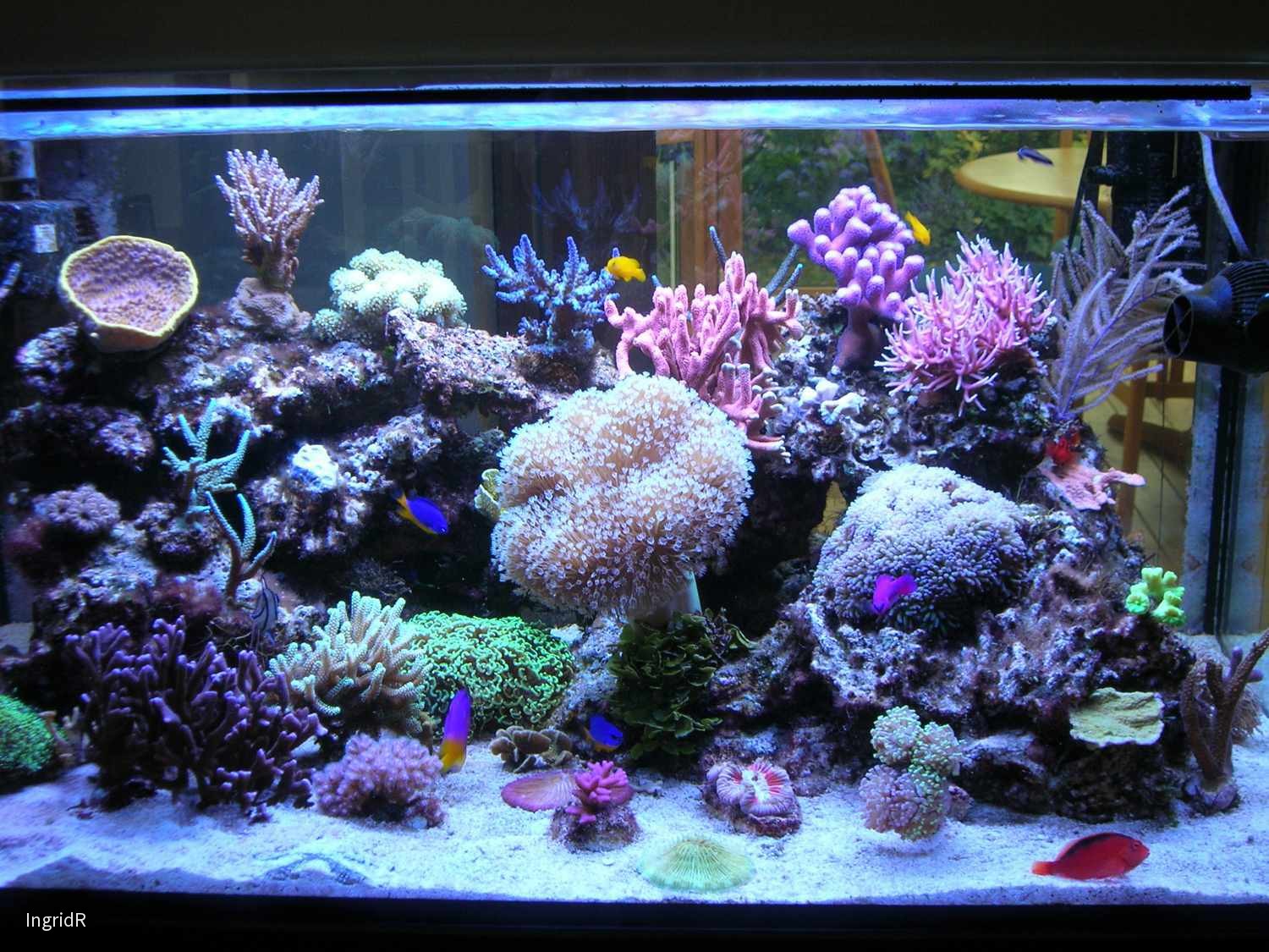 300 l, 10.10.13