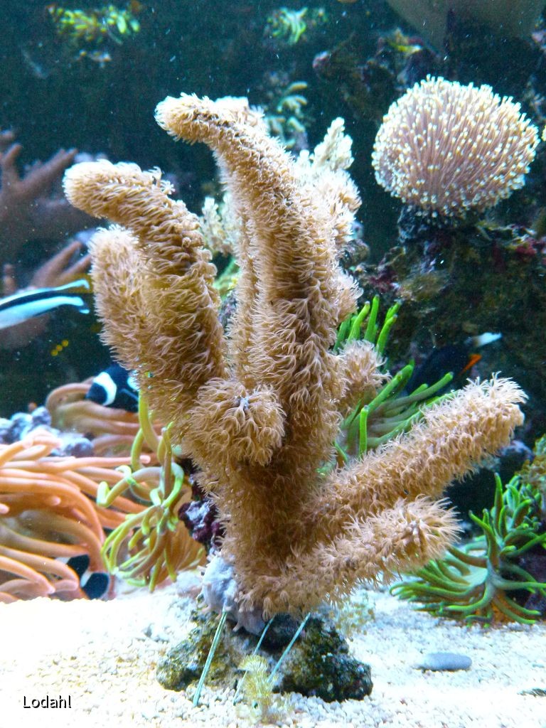 k-P1040760