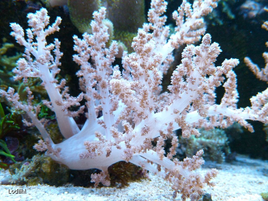 k-P1040761