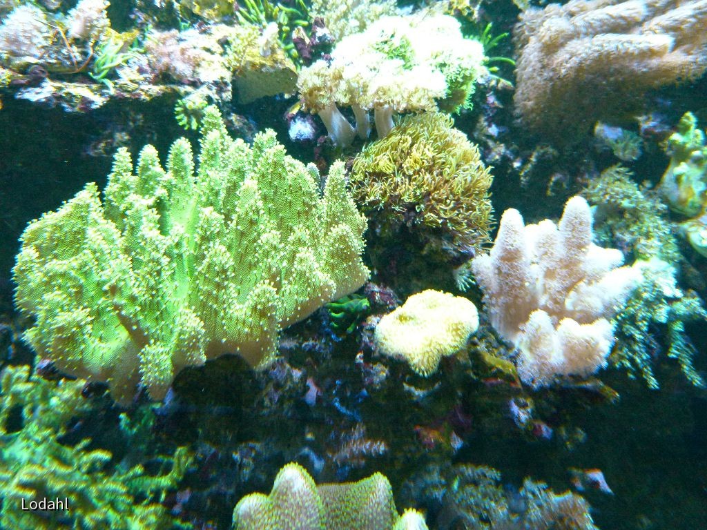 k-P1040768