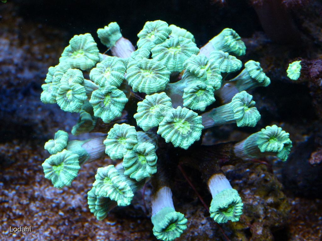 k-P1040187