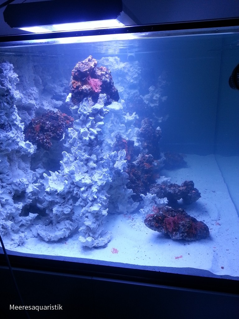 170x100x80