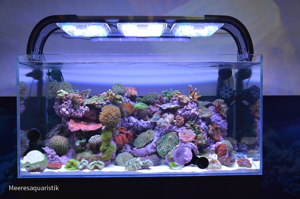 Tropical Marine Centre