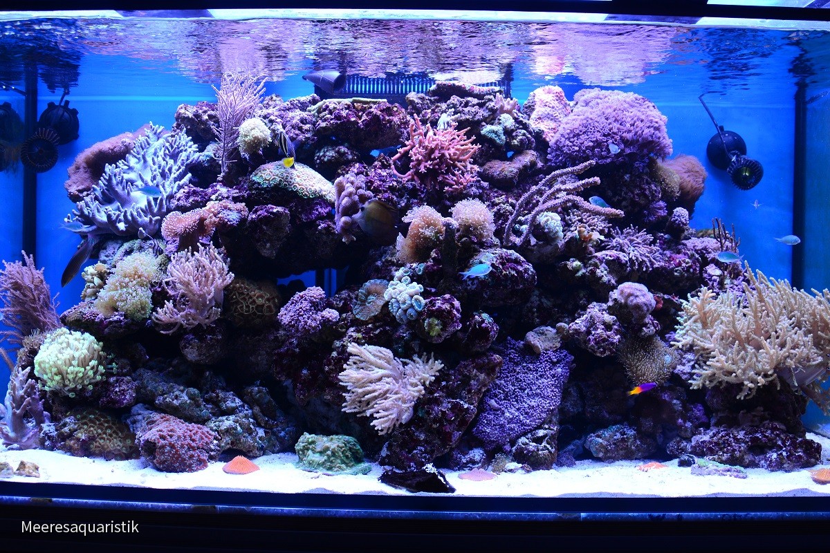 145x70x65