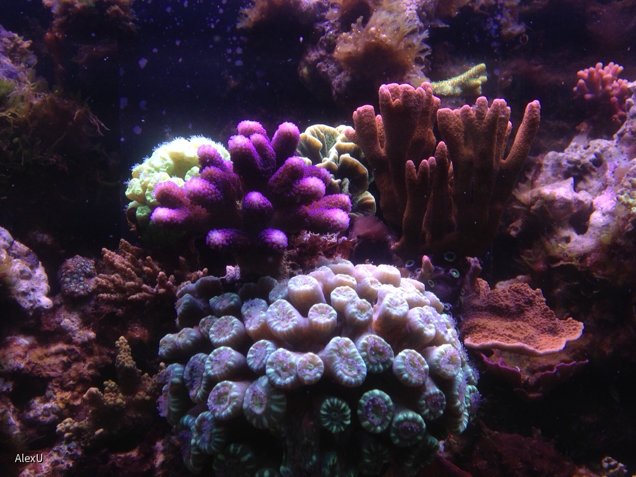 Foto(12)