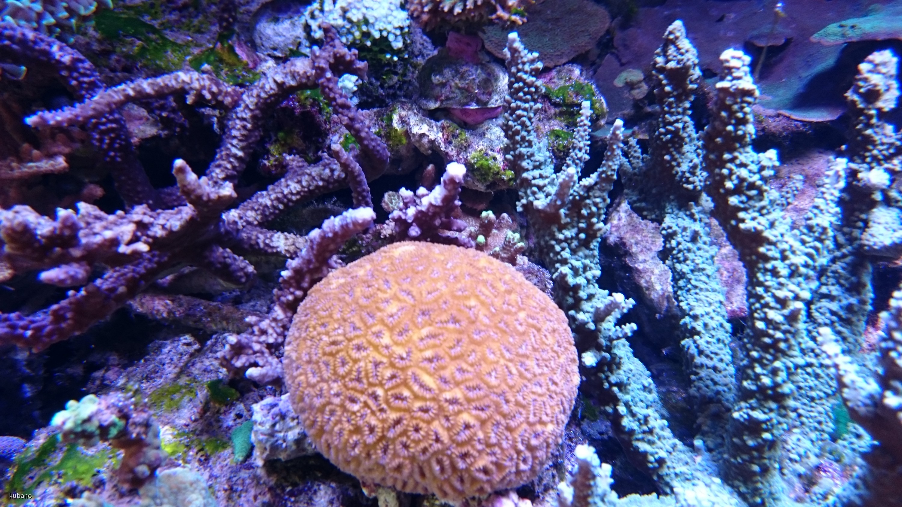 DSC_0021