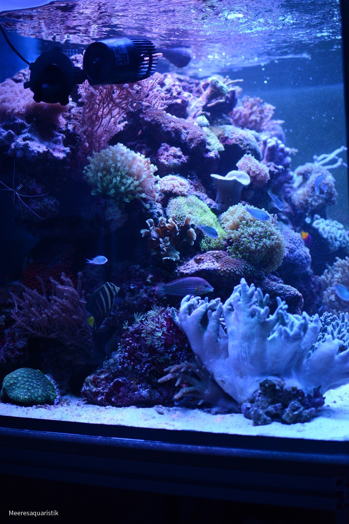 145x70x65