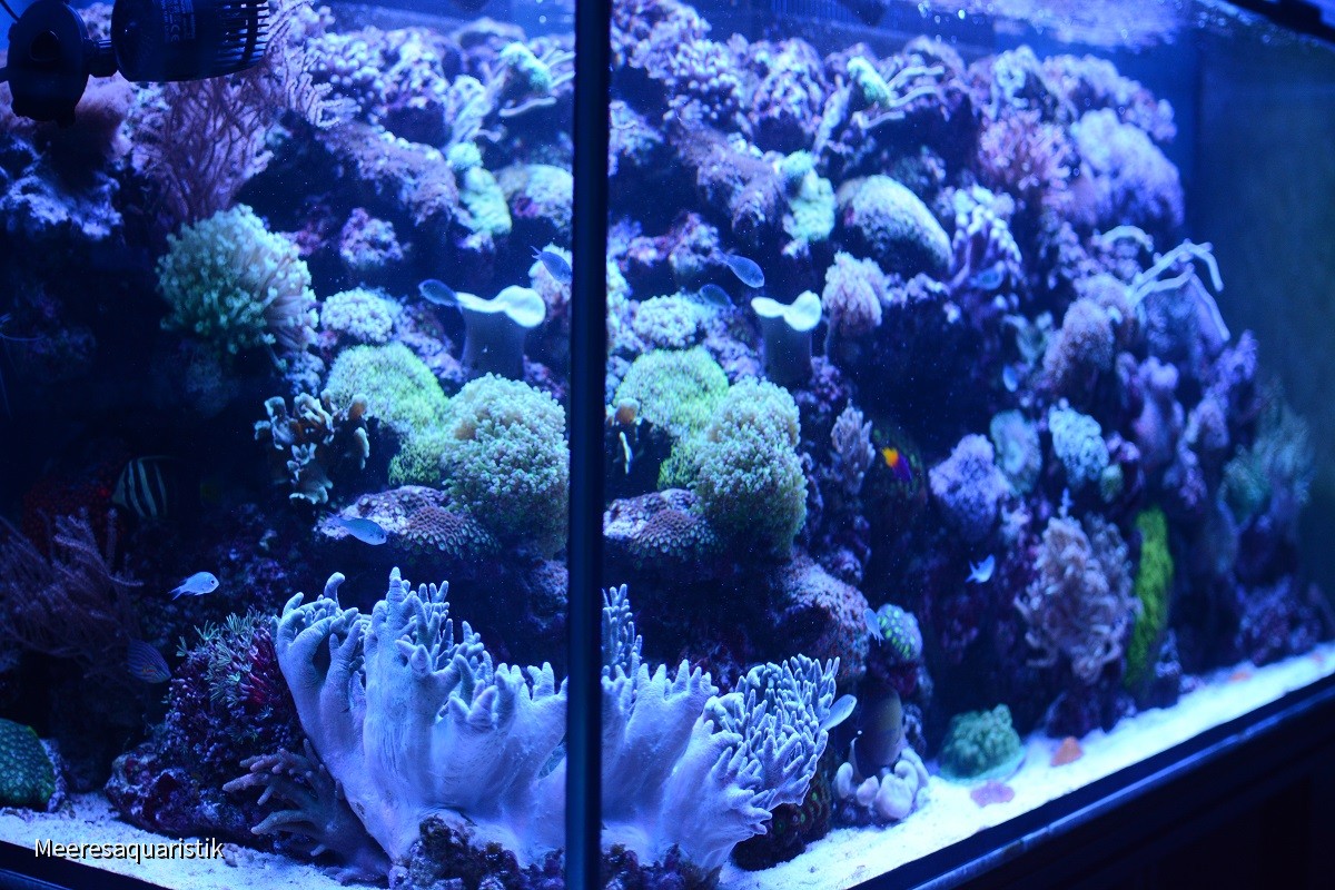 145x70x65