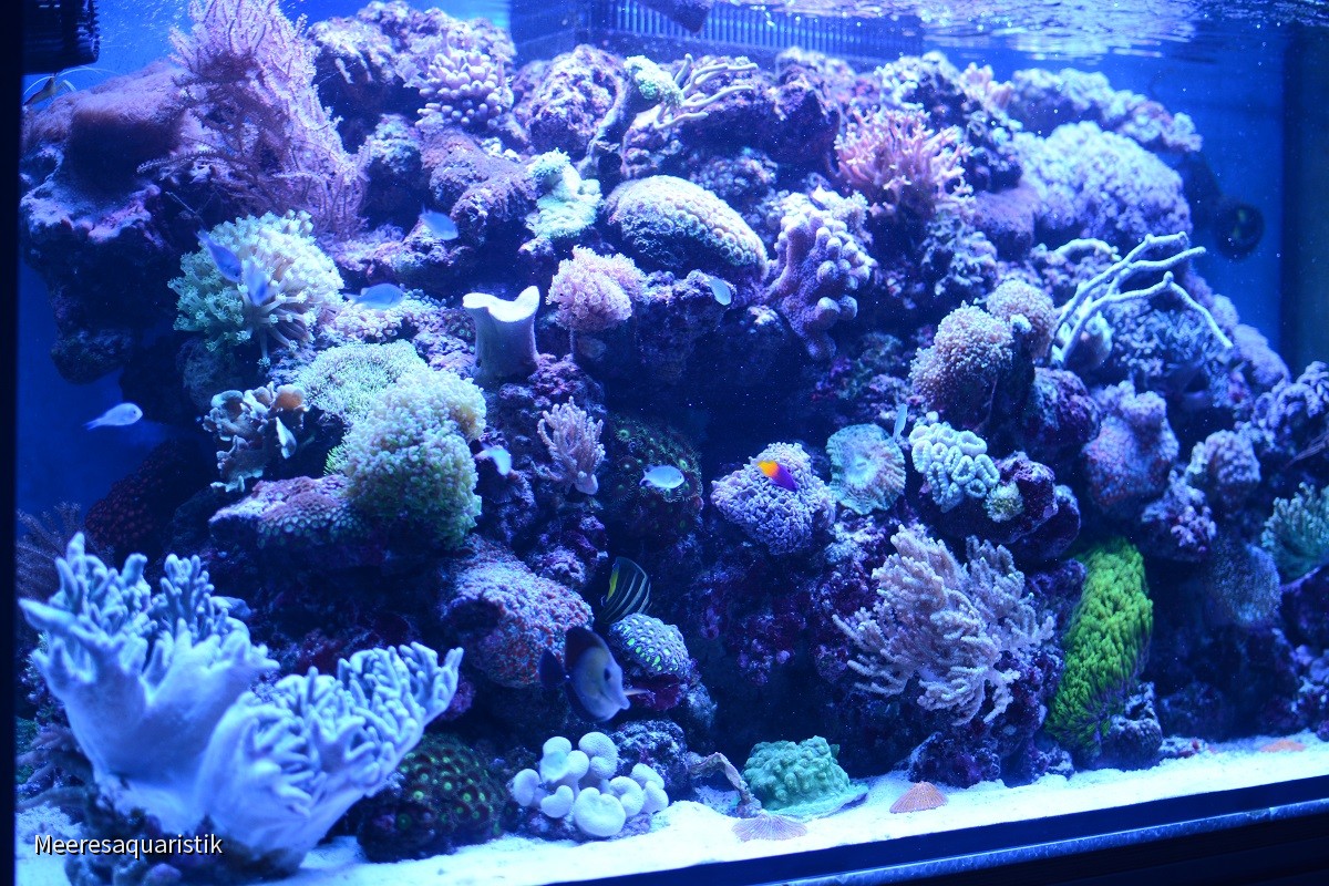 145x70x65