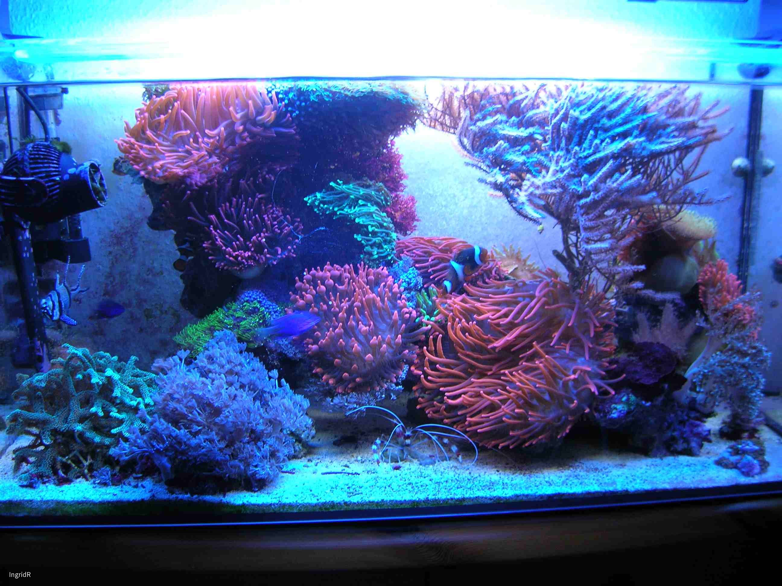 112 Liter, Stand 17.08.14