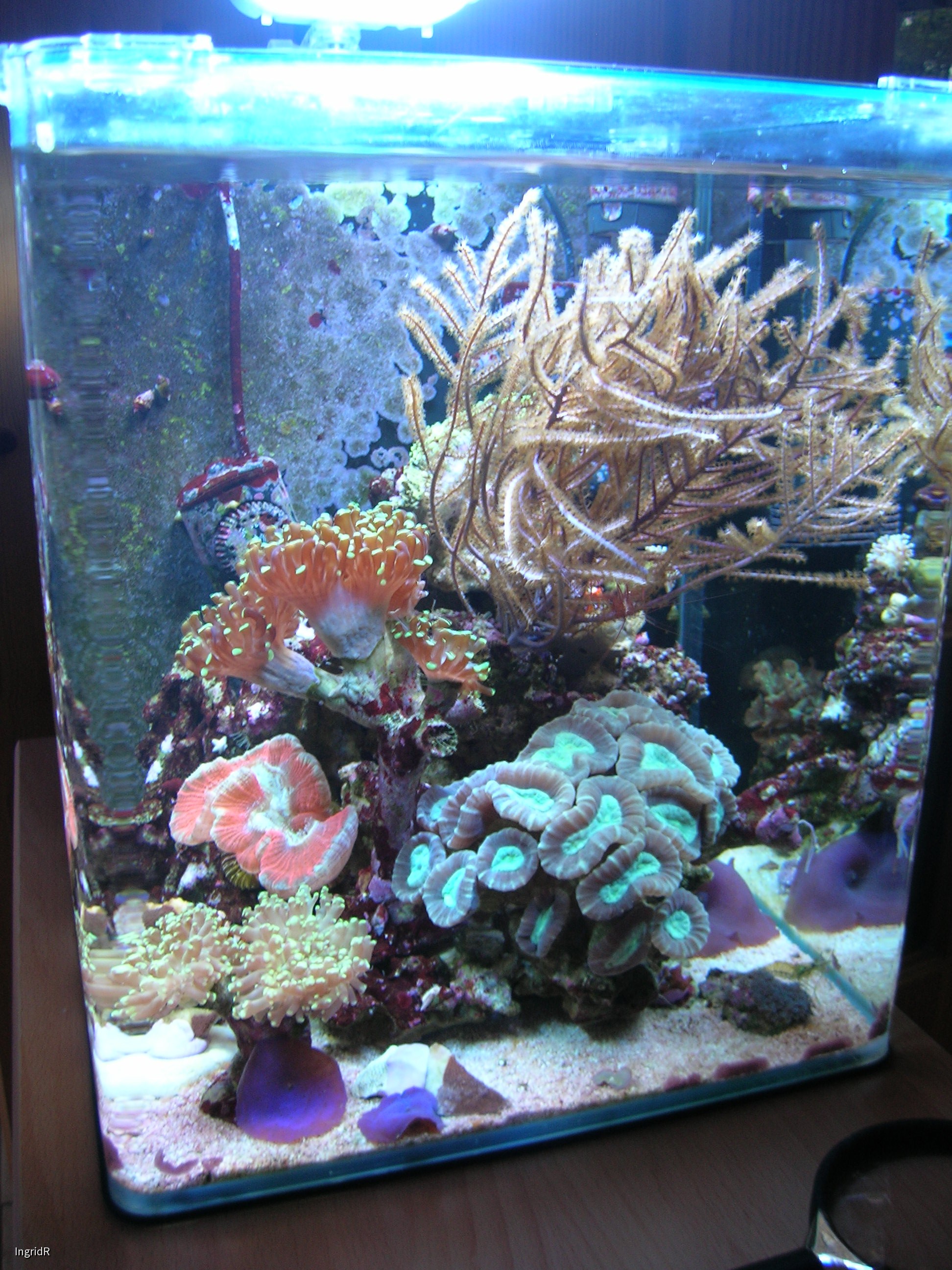 30 Liter, Stand 01.09.14