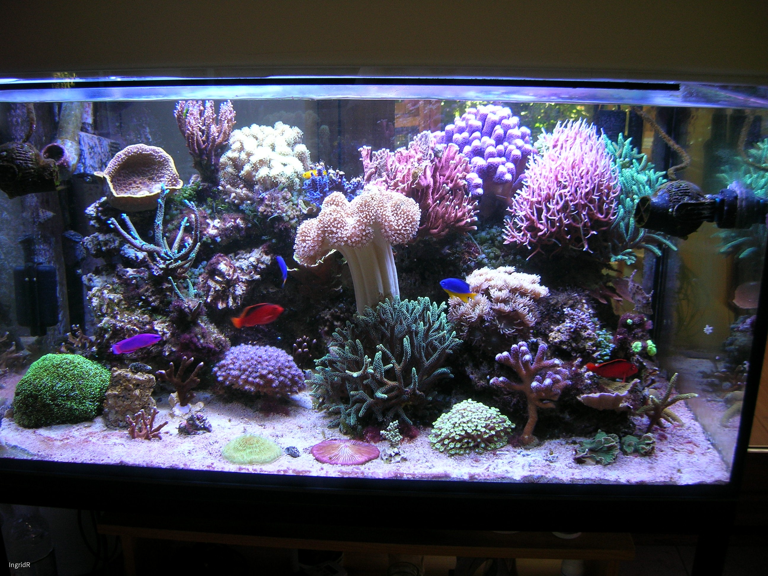 300 Liter, Stand 02.09.14