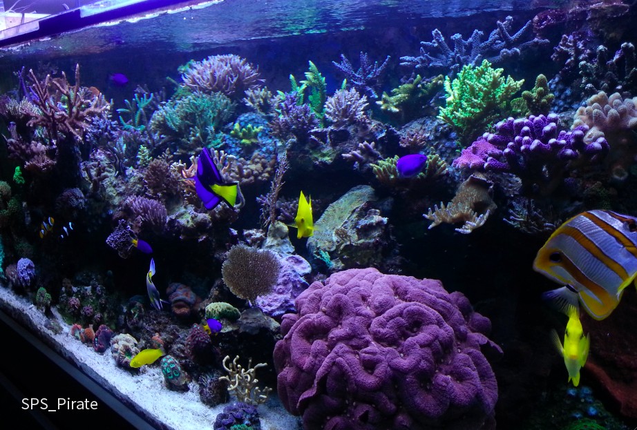 800 Liter