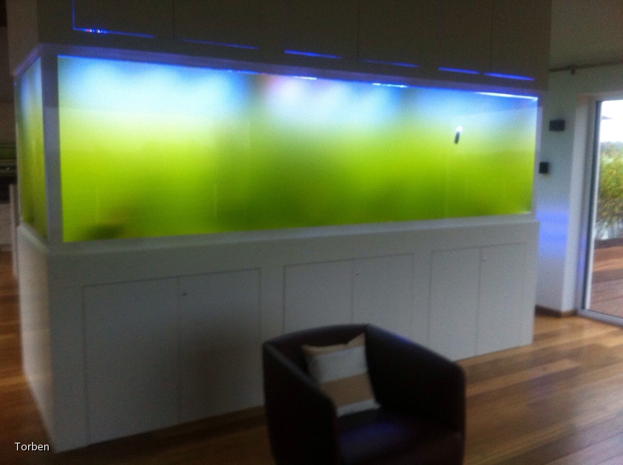 IMG-20141119-WA0004