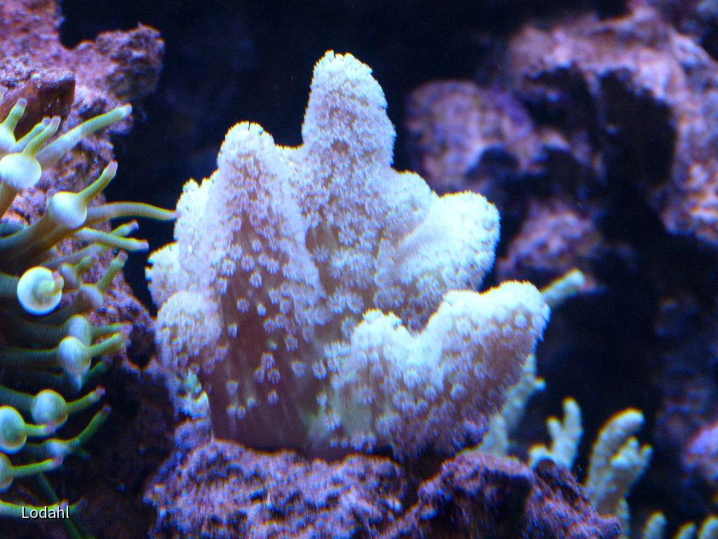 k-P1040277