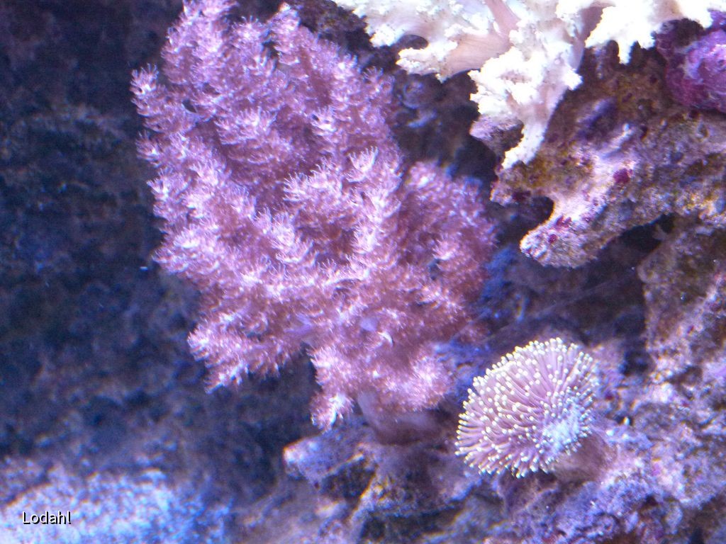 k-P1040279