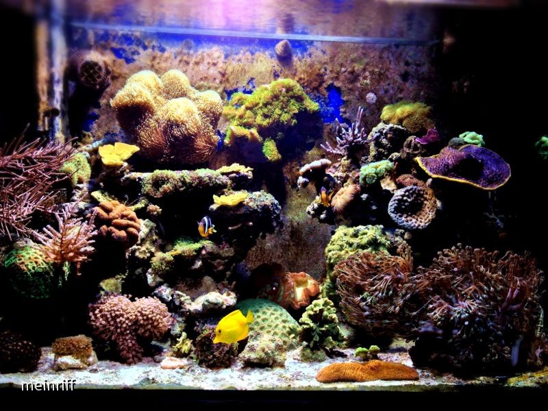IMG-20121119-WA0000