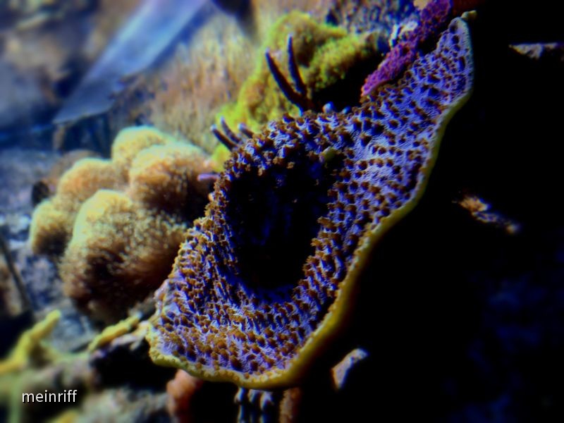 IMG-20121119-WA0001