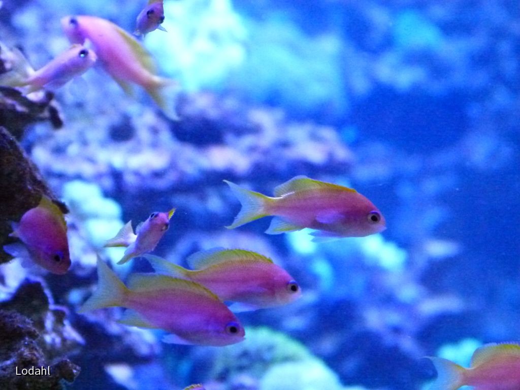 k-P1040007