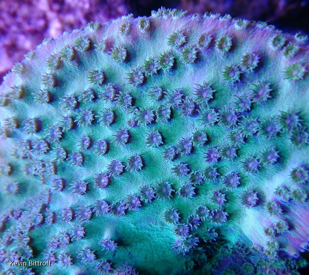 2013-06-15 09.18.35