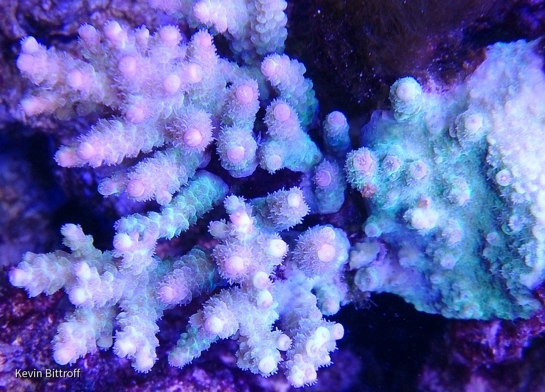 2013-06-15 09.24.22