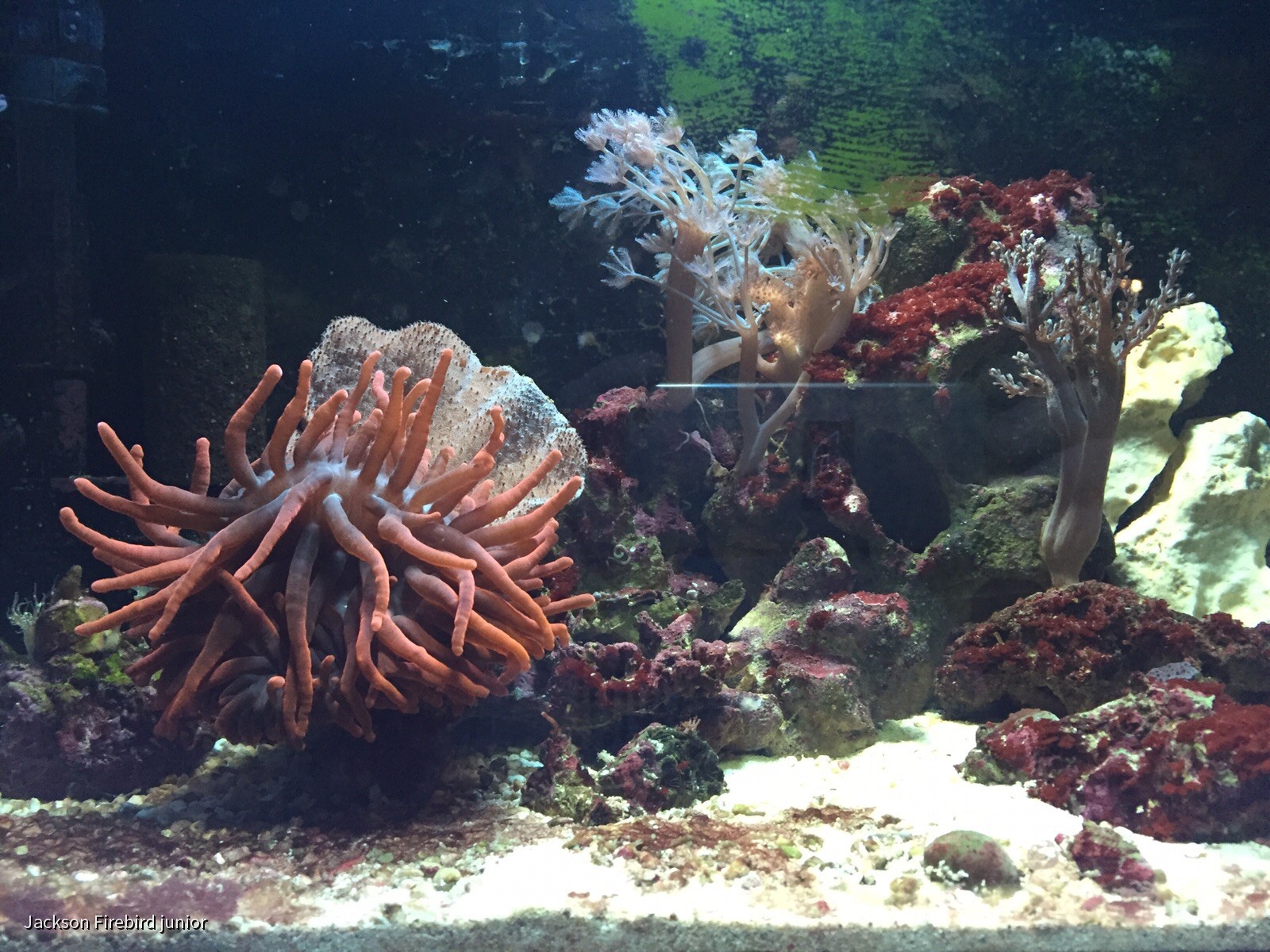 IMG-20151123-WA0040