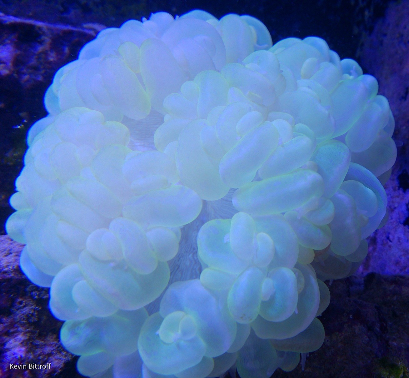2013-06-15 09.29.08
