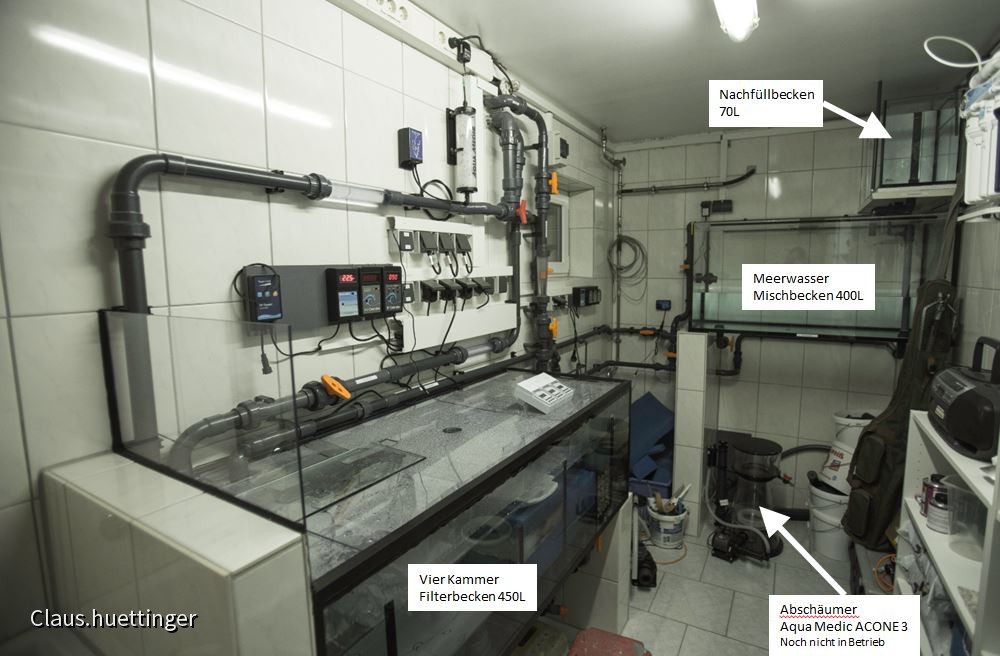 Mein Umstieg zur Meerwasseraquaristik