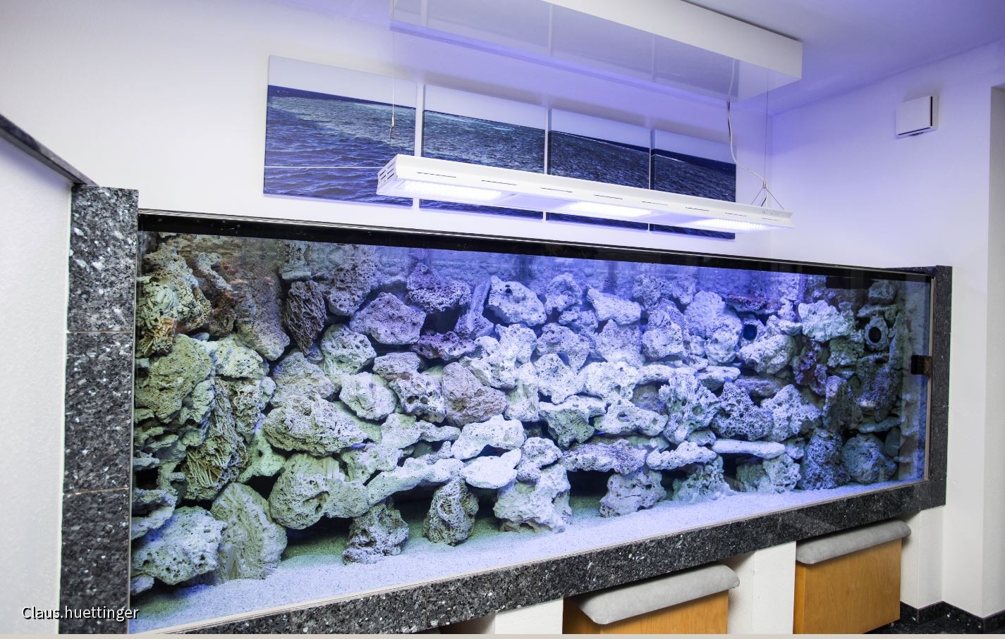 Mein Umstieg zur Meerwasseraquaristik