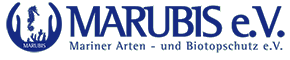 Marubis Banner