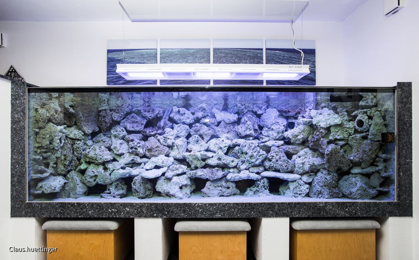 Mein Umstieg zur Meerwasseraquaristik