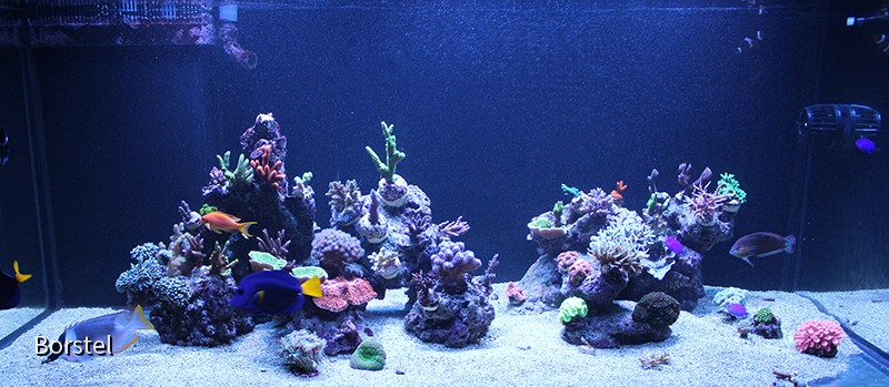 pano