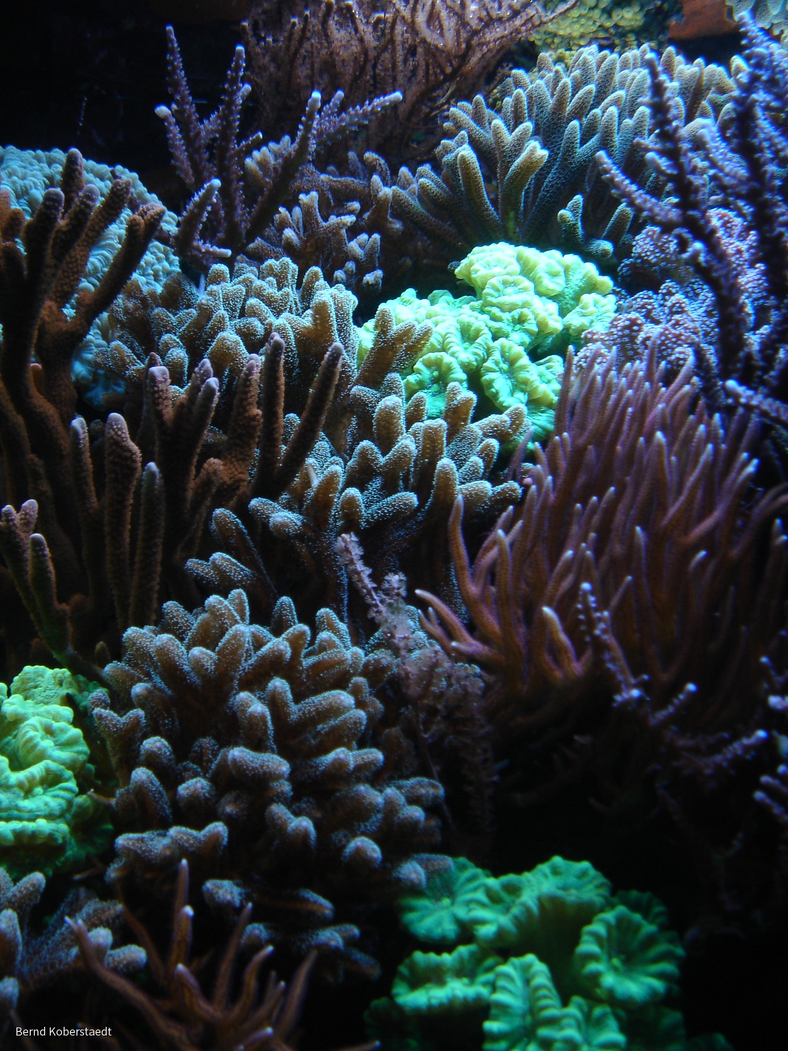 Impresionen aus meinem Becken