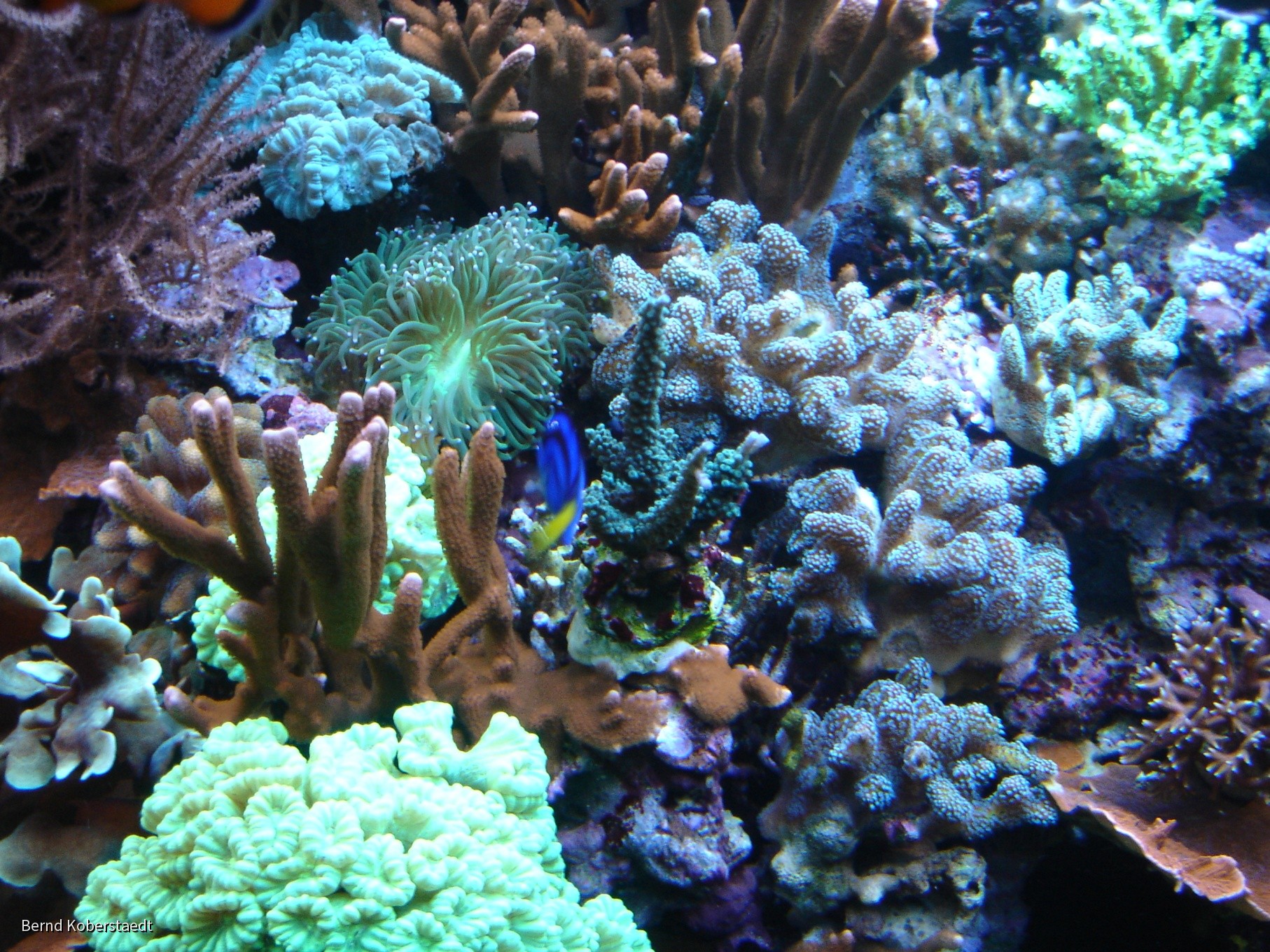 Impresionen aus meinem Becken