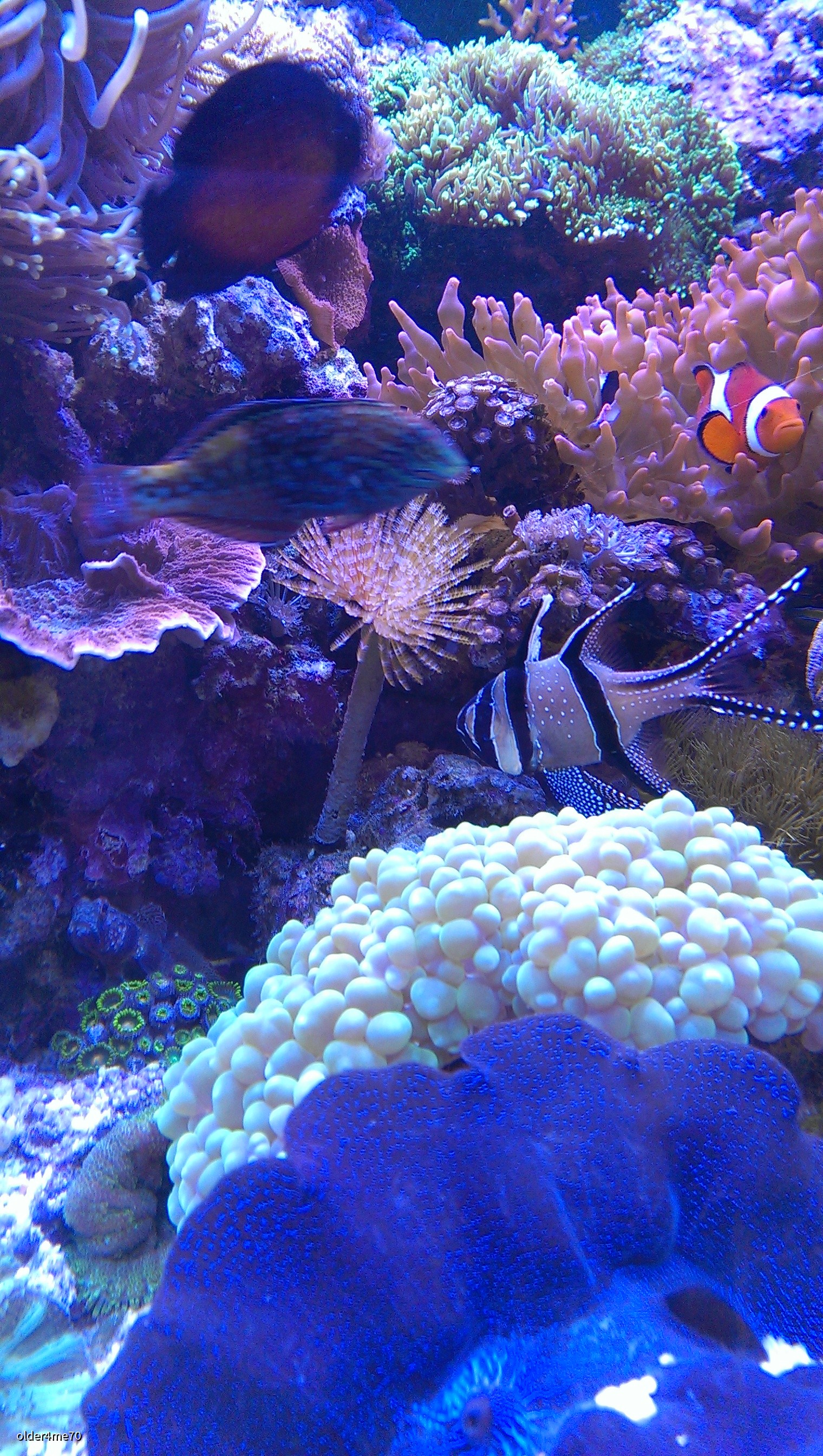 IMAG0013_ZOE016