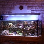 LED-Leuchte