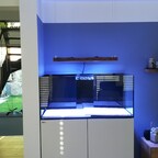 Aquarium