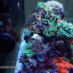 Red Sea max s 400
