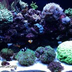 Red Sea max s 400