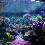 800 Liter