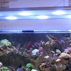 LED-Leuchte