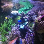 IMG_0094 a