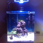 Dennerle Marinus 60 / Maxspect Nano 16000K
