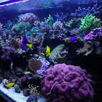 800 Liter