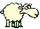 :sheep